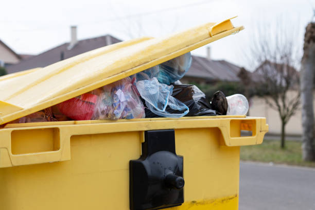 Best Basement Cleanout  in Darien, GA